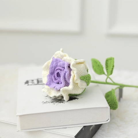 DIY Ha Hồng Tím Trắng
