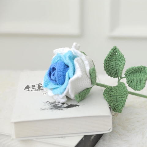 DIY Hoa Hồng Xanh Trắng