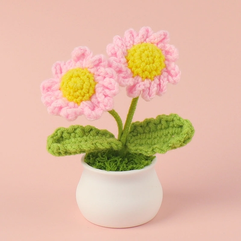 Chậu hoa cúc 2 bông nhỏ