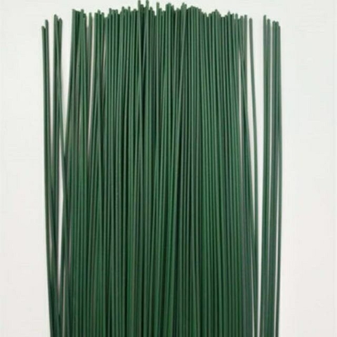 Cành Kẽm 40cm - 1 cành