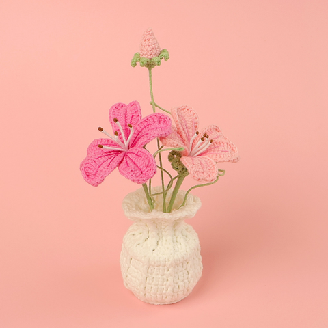 Chậu hoa Maixianweng Đế Len