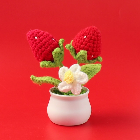 Chậu Trái Dâu Đế Nhựa