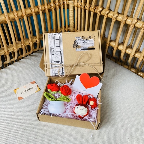 Set quà tặng người yêu handmade, hộp quà móc khóa len và chậu hoa len tặng sinh nhật, bạn bè ý nghĩa đáng yêu LyLyCraft