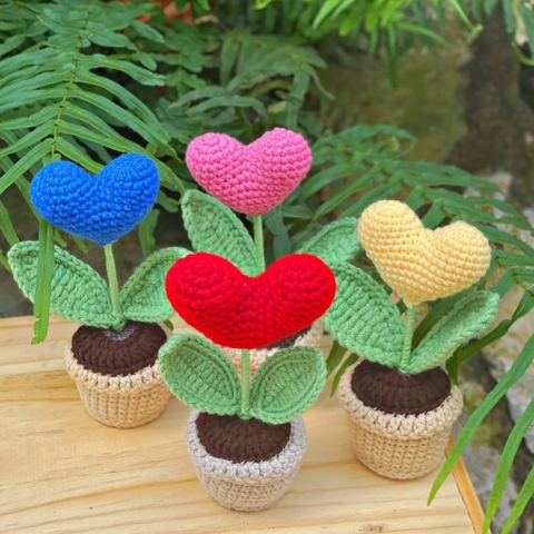 Chậu hoa trái tim nhỏ