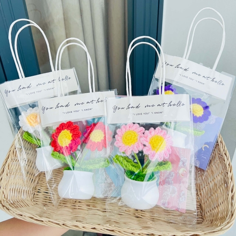 Combo Chậu hoa cúc vàng kèm thiệp túi