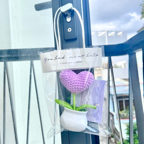 Com chậu hoa tim màu Tím kèm túi và thiệp