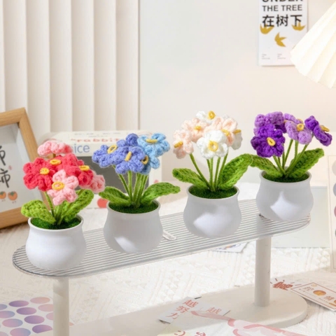 Chậu hoa lưu ly đế nhựa