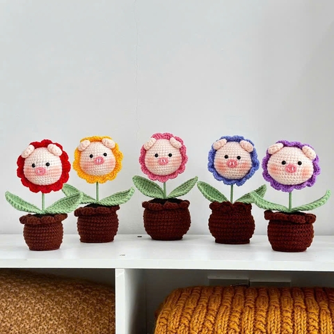 Chậu Hoa Thú Đế Len