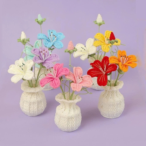 Chậu hoa Maixianweng Đế Len