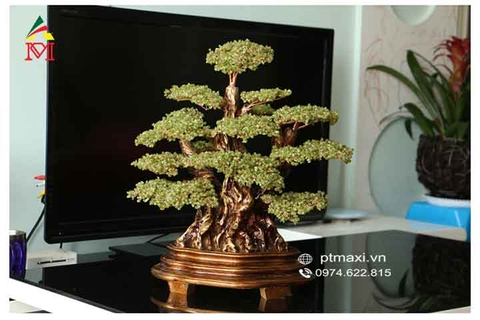 Nên đặt cây tiền tài lộc bằng đá trang trí phòng khách như thế nào?