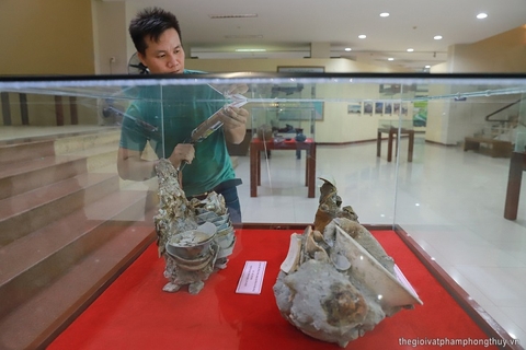 Cổ vật gốm sứ khai quật từ xác tàu đắm được Triển lãm tại bảo tàng Đà Nẵng