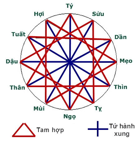 Tam hợp, tứ hành xung là gì? Tuổi hợp - kỵ 12 con giáp