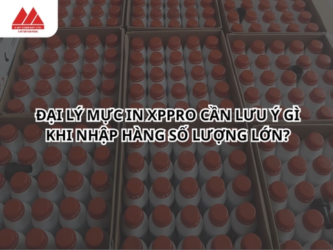 Đại lý mực in XPPro cần lưu ý gì khi nhập hàng số lượng lớn?