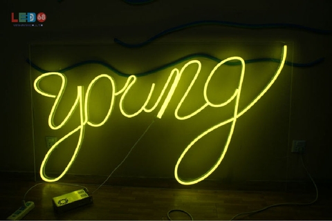 Gợi ý các loại đèn led quảng cáo được ưa chuộng hiện nay