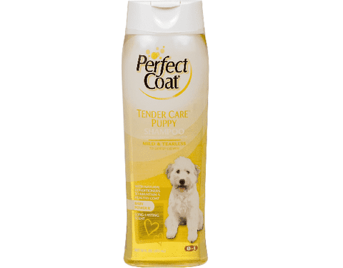 Dầu gội Perfect Coat