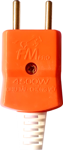 PHÍCH TẢI P4500W - D