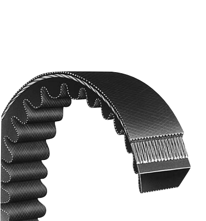 DÂY CUROA GÂN (CUROA RĂNG)