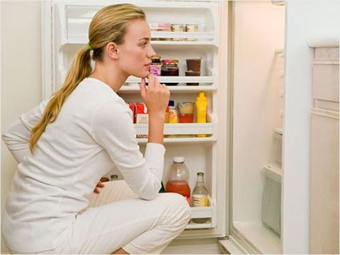 LÀM GÌ KHI TỦ MÁT BỊ ĐÓNG TUYẾT?