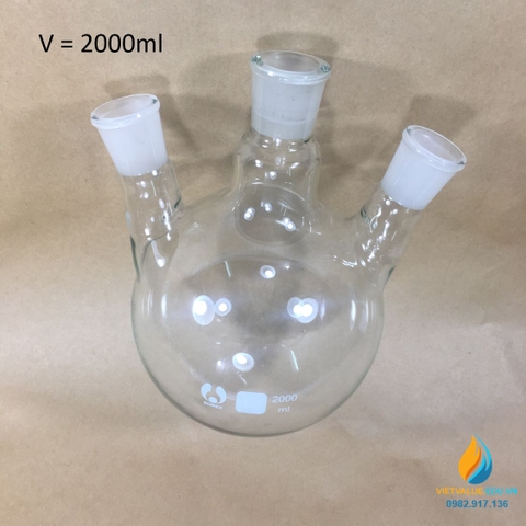 Bình cầu thủy tinh đáy tròn, 3 cổ cổ phụ nghiêng, dung tích 50ml, cổ 19.19.19