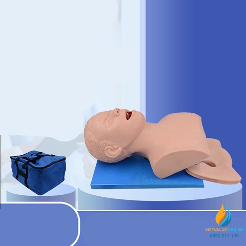 Mô hình giải phẫu đào tạo đặt nội khí quản cho người, tỷ lệ 1:1, nhựa PVC cao cấp