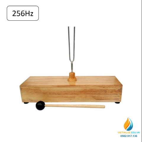 Âm thoa dao động tạo tần số 256Hz, âm thoa vật lý gồm búa cao su đi kèm