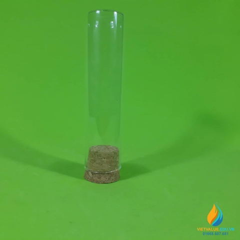 5 Ống nghiệm thủy tinh, có nắp, không chia vạch, đáy phẳng, 30*120mm