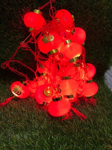 Dây Đèn Led Lồng Đèn Ngang Tròn 5m 16 Bóng 8cm