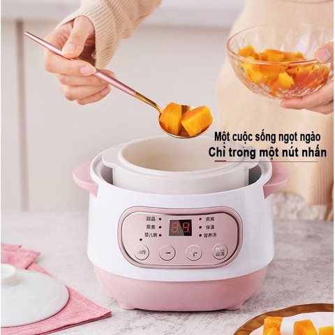 Nồi Nấu Cháo Chậm SEKA GT-68 ( 1 Lít )
