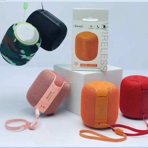 Loa Bluetooth WS-305 Cực Hay