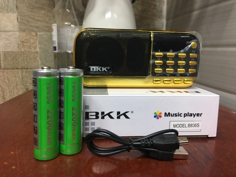 Loa Thẻ Nhớ BKK B-851 Kèm 2 Pin