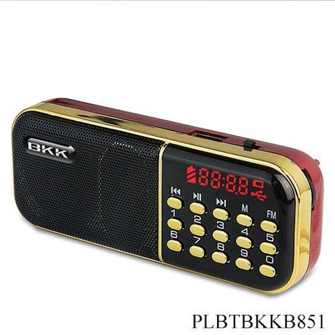 Loa Thẻ Nhớ BKK B-851 Kèm 2 Pin