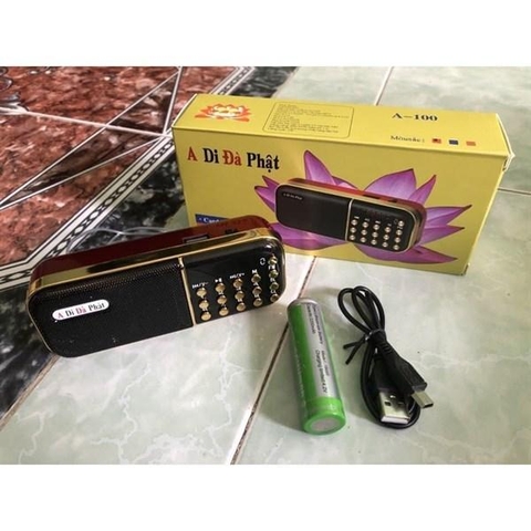 Loa thẻ nhớ a di đà phật  A-100