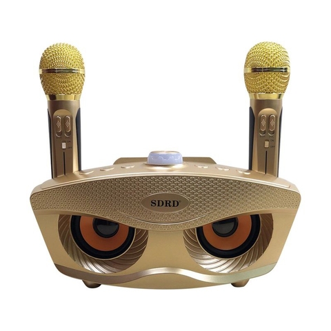 Loa Karaoke Bluetooth SDRD SD-306 Kèm Micro