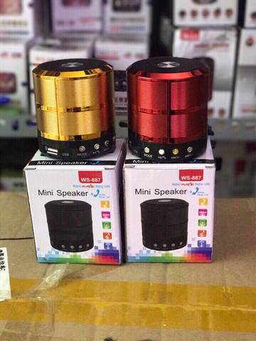 LOA BLUTOOTH WS-887