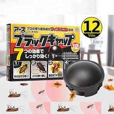 Hộp 12 Viên Thuốc Diệt Gián Bắt Gián