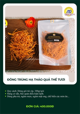 Đông trùng hạ thảo quả thể tươi