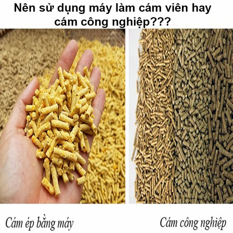 Nên sử dụng máy ép cám viên hay dùng cám viên công nghiệp?