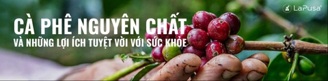 Cà phê nguyên chất và những lợi ích tuyệt vời với sức khỏe