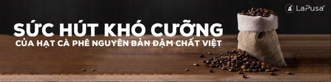 Giải mã sức hút khó cưỡng của hạt cà phê nguyên bản đậm chất Việt