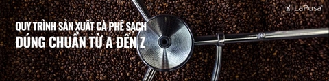 Quy trình sản xuất cà phê sạch đúng chuẩn từ A đến Z