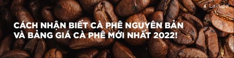 Cách nhận biết cà phê nguyên bản và bảng giá cà phê mới nhất 2022!