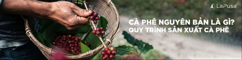 Cà phê nguyên bản là gì? Quy trình sản xuất cà phê nguyên bản chi tiết