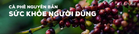Cà phê nguyên bản và các lợi ích tuyệt vời với sức khỏe người dùng