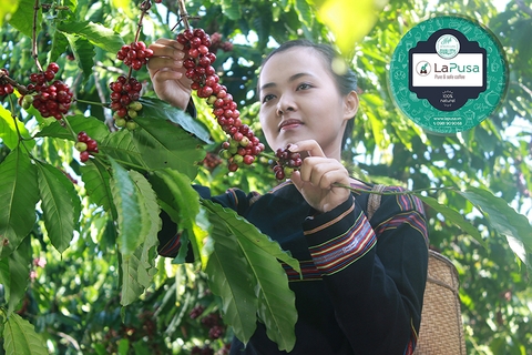 Uống cà phê vì lý do gì?