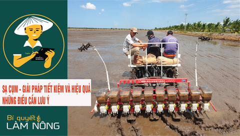 SẠ CỤM - giải pháp tiết kiệm & hiệu quả, những điều cần lưu ý