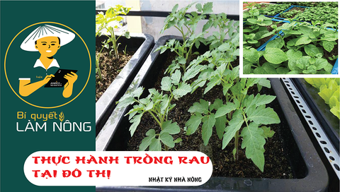 Nhật ký làm nông kỳ 1 