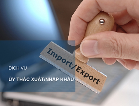 Vì sao nên sử dụng dịch vụ xuất nhập khẩu ủy thác của Logistics Đông Dương