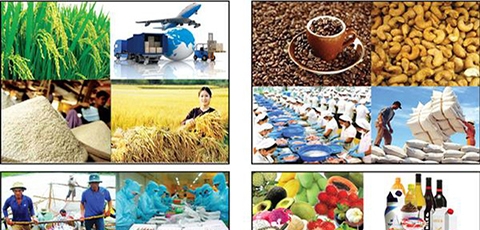 Danh mục hàng hóa xuất khẩu, nhập khẩu mới có kèm mã HS thuộc phạm vi quản lý của Bộ Nông nghiệp & Phát triển nông thôn