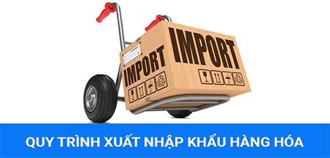 Thủ tục Hải quan đối với hàng hoá nhập khẩu tạo tài sản cố định