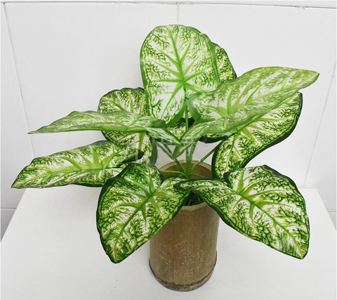 Cành lá giả- Cành Lá Giả Trang Trí, Cành Lá Môn Thiết Kế Tiểu Cảnh- HC091